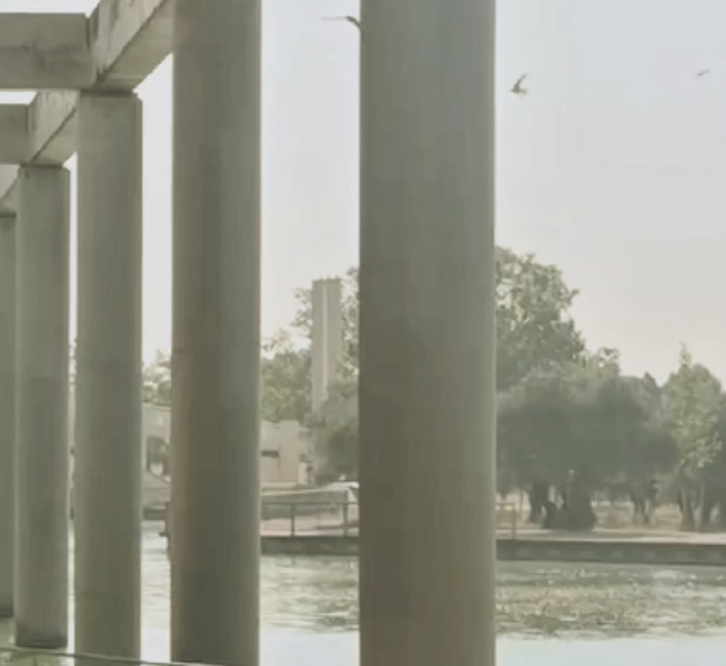 Cargar video: 